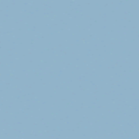 Anonymized Professional Avatar